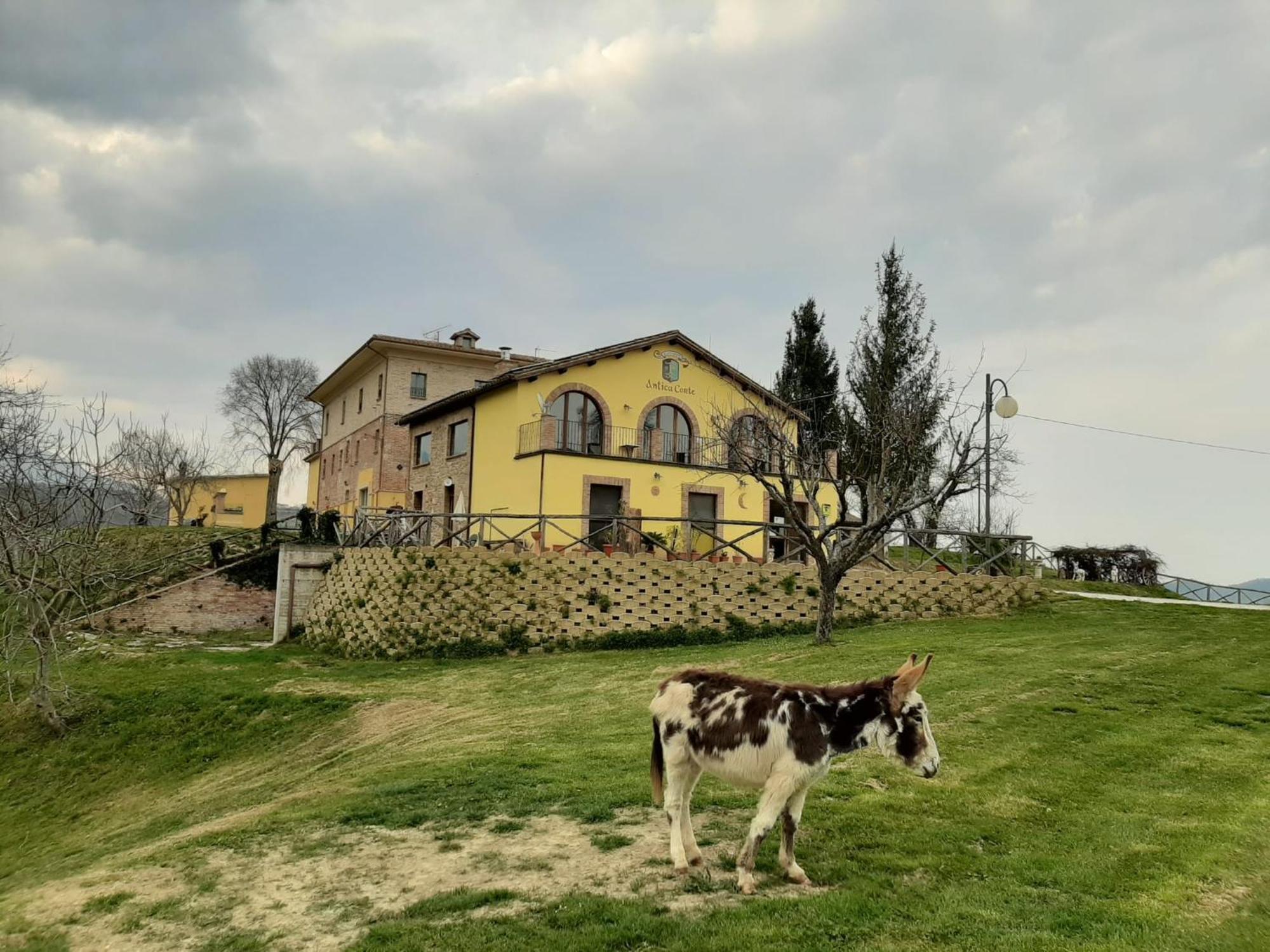 Agriturismo Antica Corte Montatteglia 外观 照片